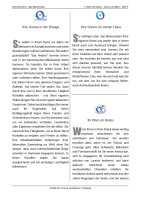Horoskop Beruf - Kurzanalyse