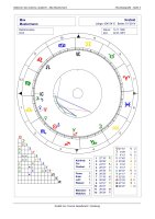 Horoskop Stationen des Lebens  - Langanalyse