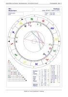 Horoskop Zukunft Beruf und Karriere - Langanalyse