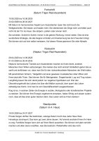 Horoskop Zukunft Beruf und Karriere - Langanalyse