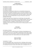 Horoskop Zukunft Beruf und Karriere - Langanalyse