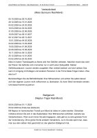 Horoskop Zukunft Beruf und Karriere - Langanalyse