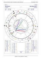 Horoskop Partnerschaft - Langanalyse